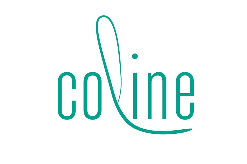 Nouveau site web pour Coline