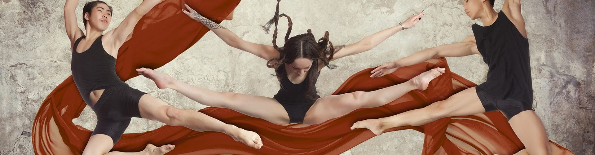 Former les danseurs interprètes. COLINE : Projet & valeurs, lieu et histoire. Venez découvrir Coline